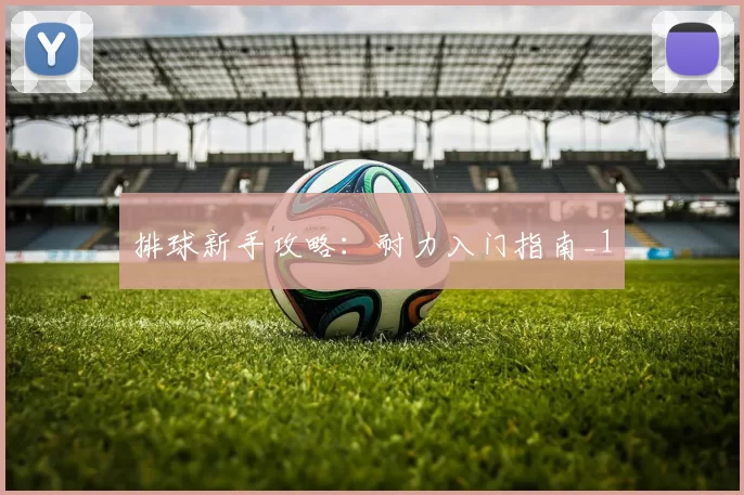 排球新手攻略：耐力入门指南_1